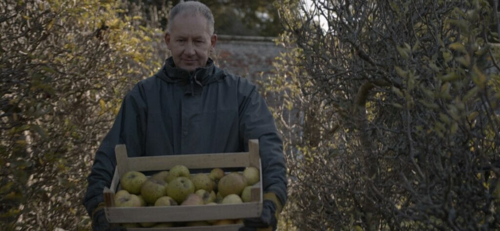 Day Volunteer picking apples