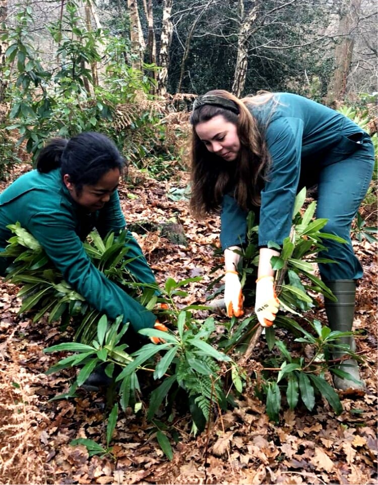 Day Volunteer Working in garden