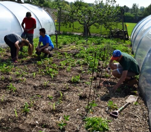 Working in the garden