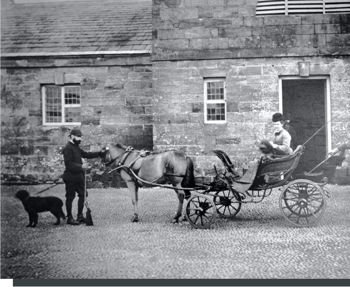 Lady Catherine on a carriage