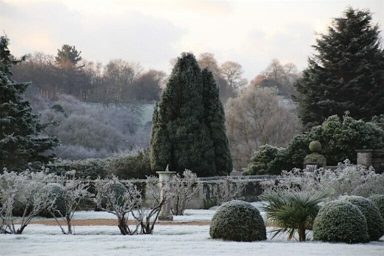 Front Terrace Frost Winter