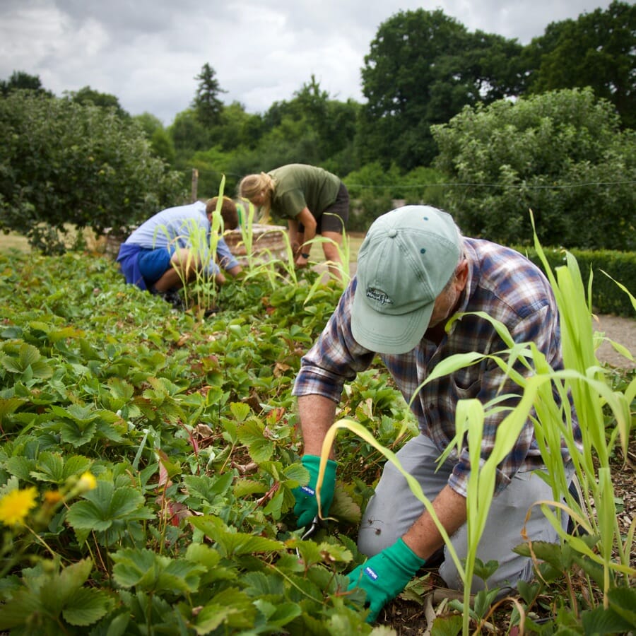 Volunteers Working in the Garden